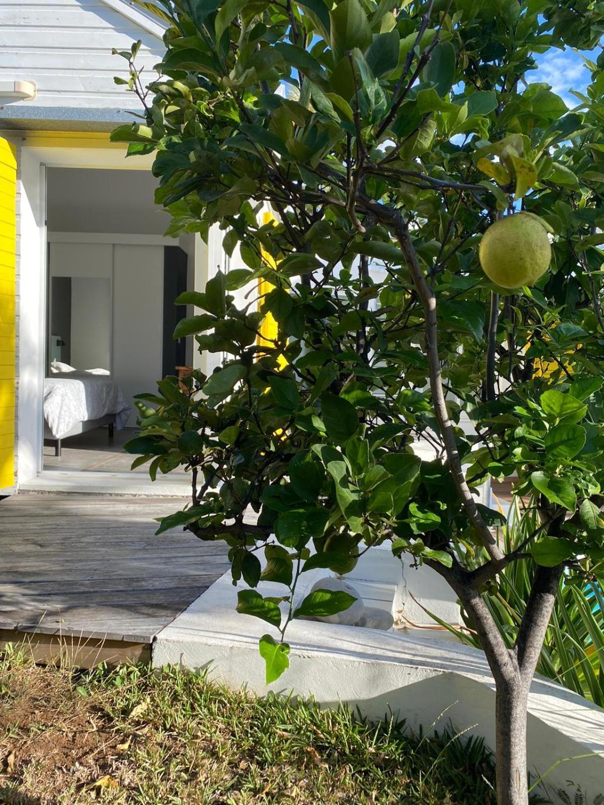 Villa Ylang Saint-Gilles-les Bains Bagian luar foto